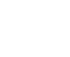 Toolkit Logo W